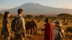 Discover Africa’s Wonders With Travel Packages Designed for Adventure and Culture Seekers
